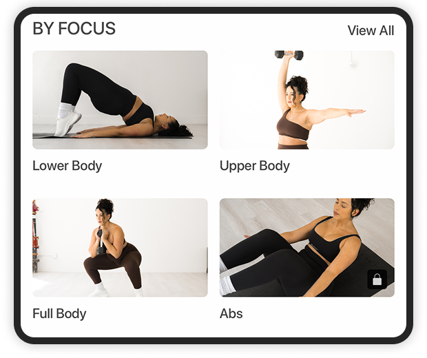 An overview of the class types the FITclub offers: Lower body, upper body, full body and abs.